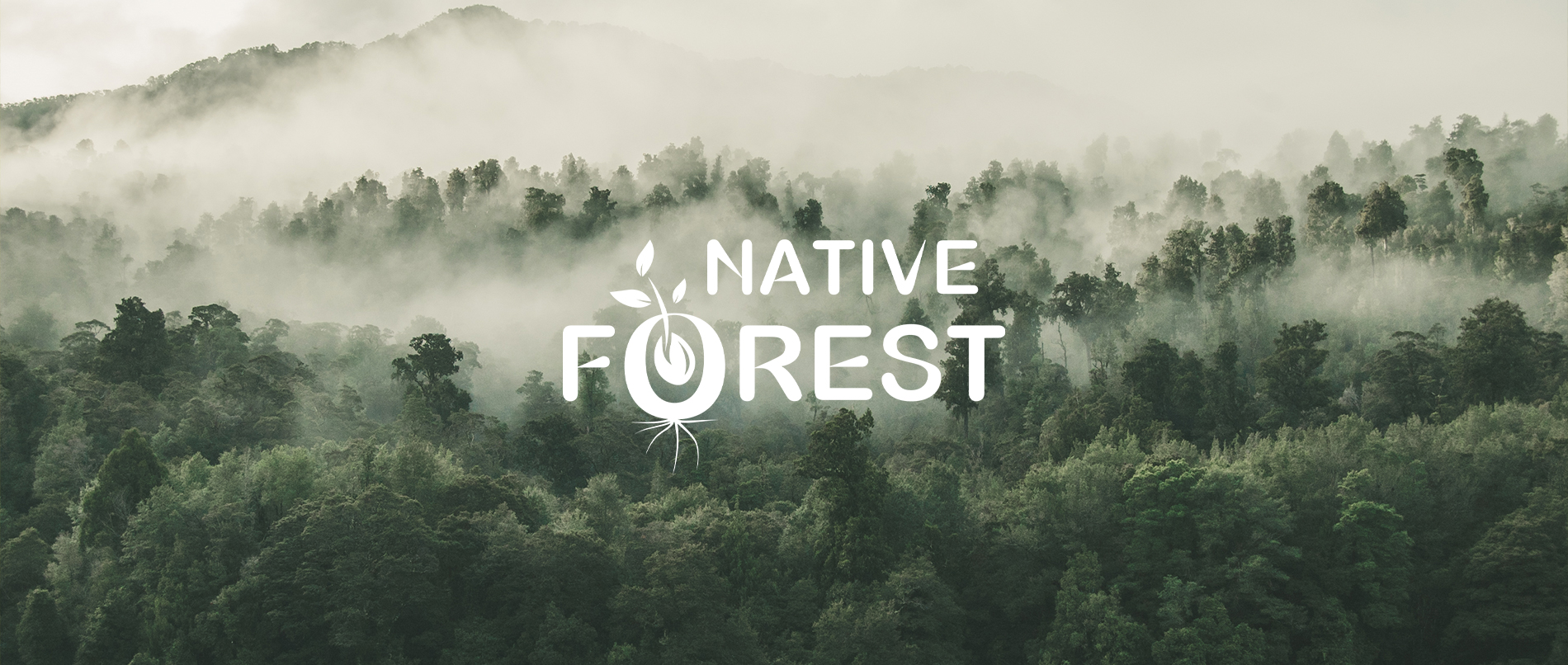 Native Forest