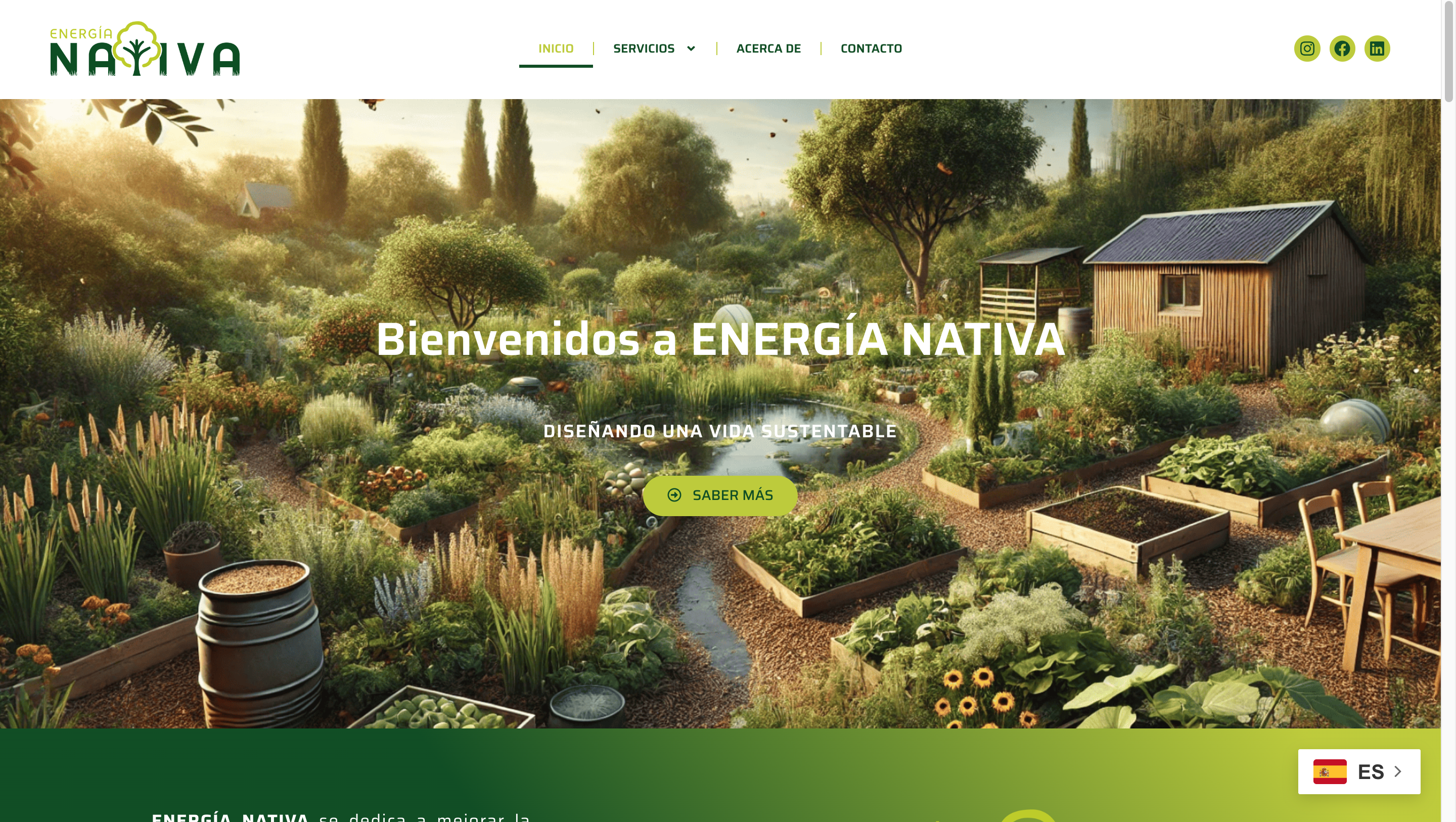 Site Energia Nativa